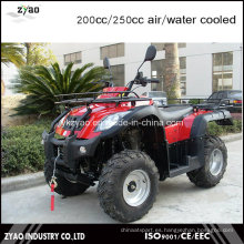 200cc Gran Granja ATV UTV con Neumático Grande en Venta